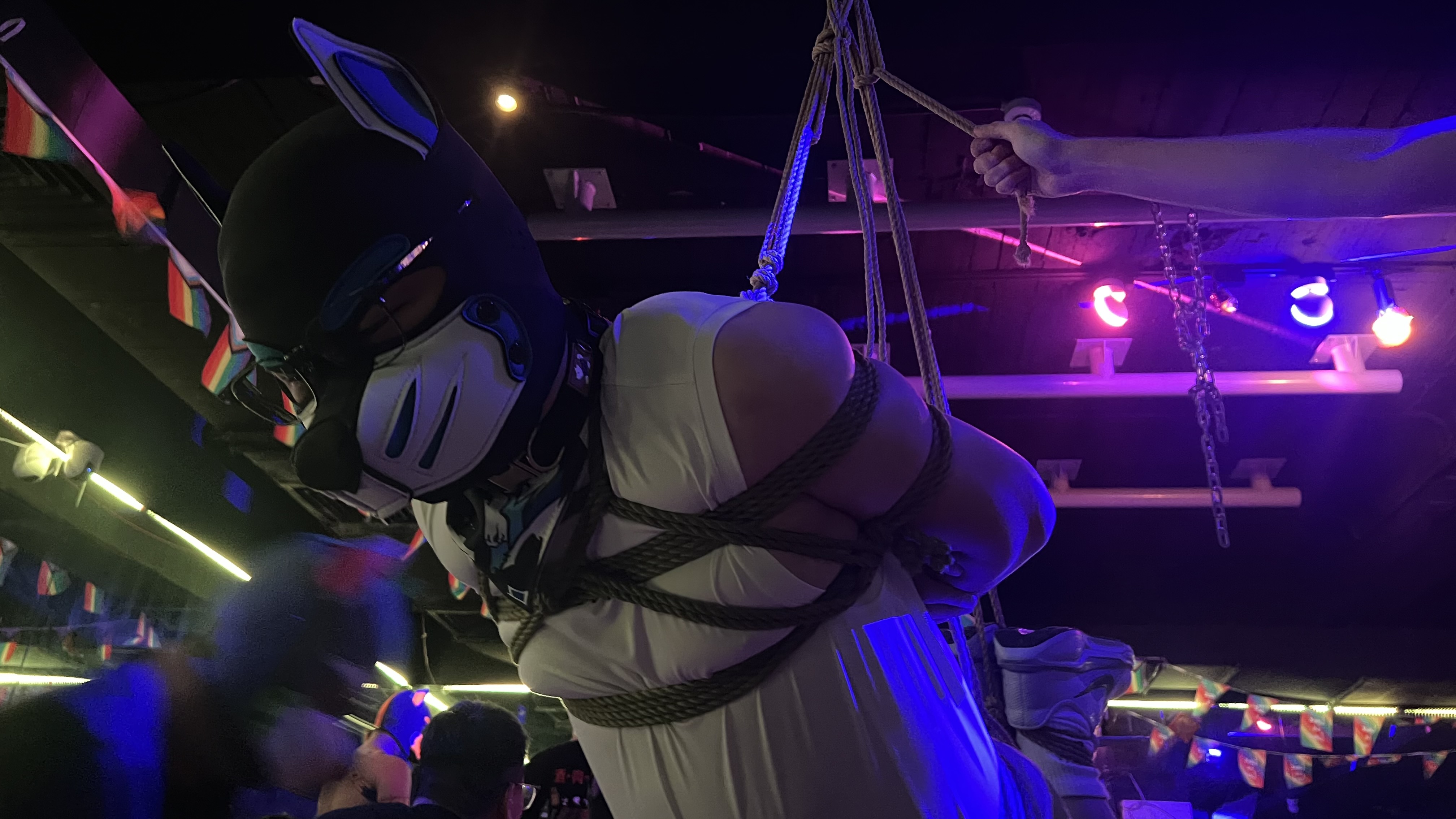 2026-09-18 The Bar 犬夜照片 8