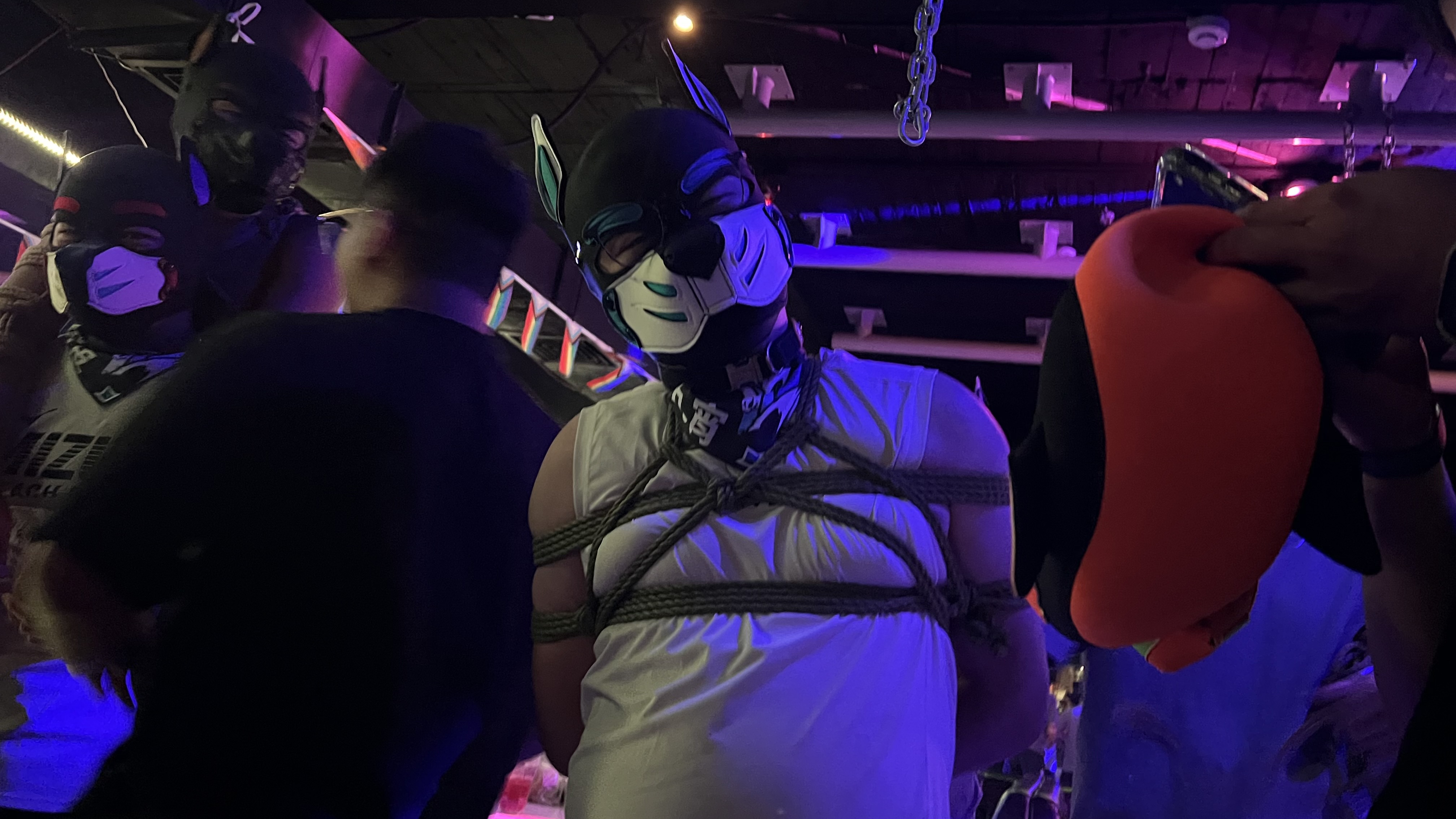 2026-09-18 The Bar 犬夜照片 10